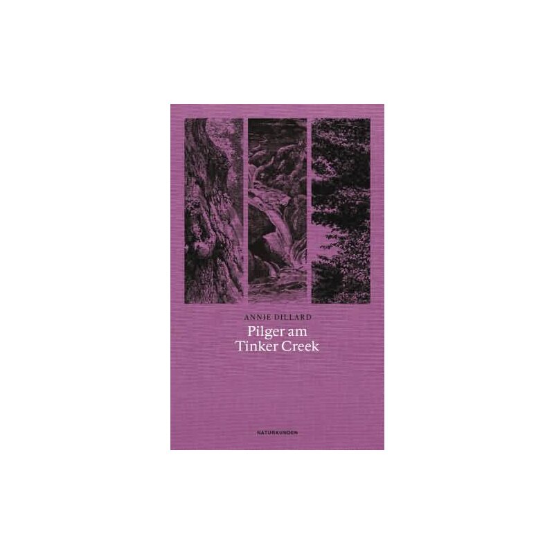annie dillard tinker creek annie dillard tinker creek