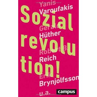 HORNEMANN, BÖRRIES UND ARMIN STEUERNAGEL (HRSG.) Sozialrevolution!