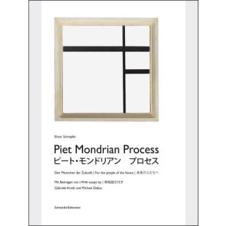 SCHREPFER (HRSG.), ELMAR Piet Mondrian Process