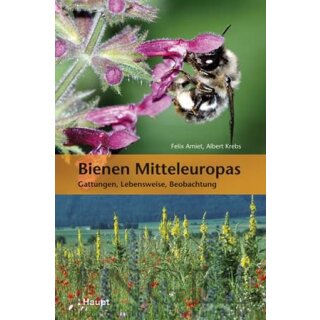 AMIET, FELIX / ALBERT KREBS Bienen Mitteleuropas