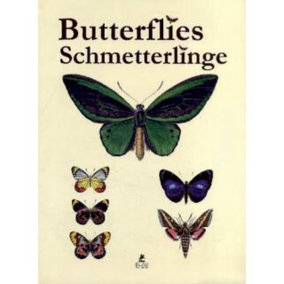 LUCAS, PIERRE-HIPPOLYTE Butterflies